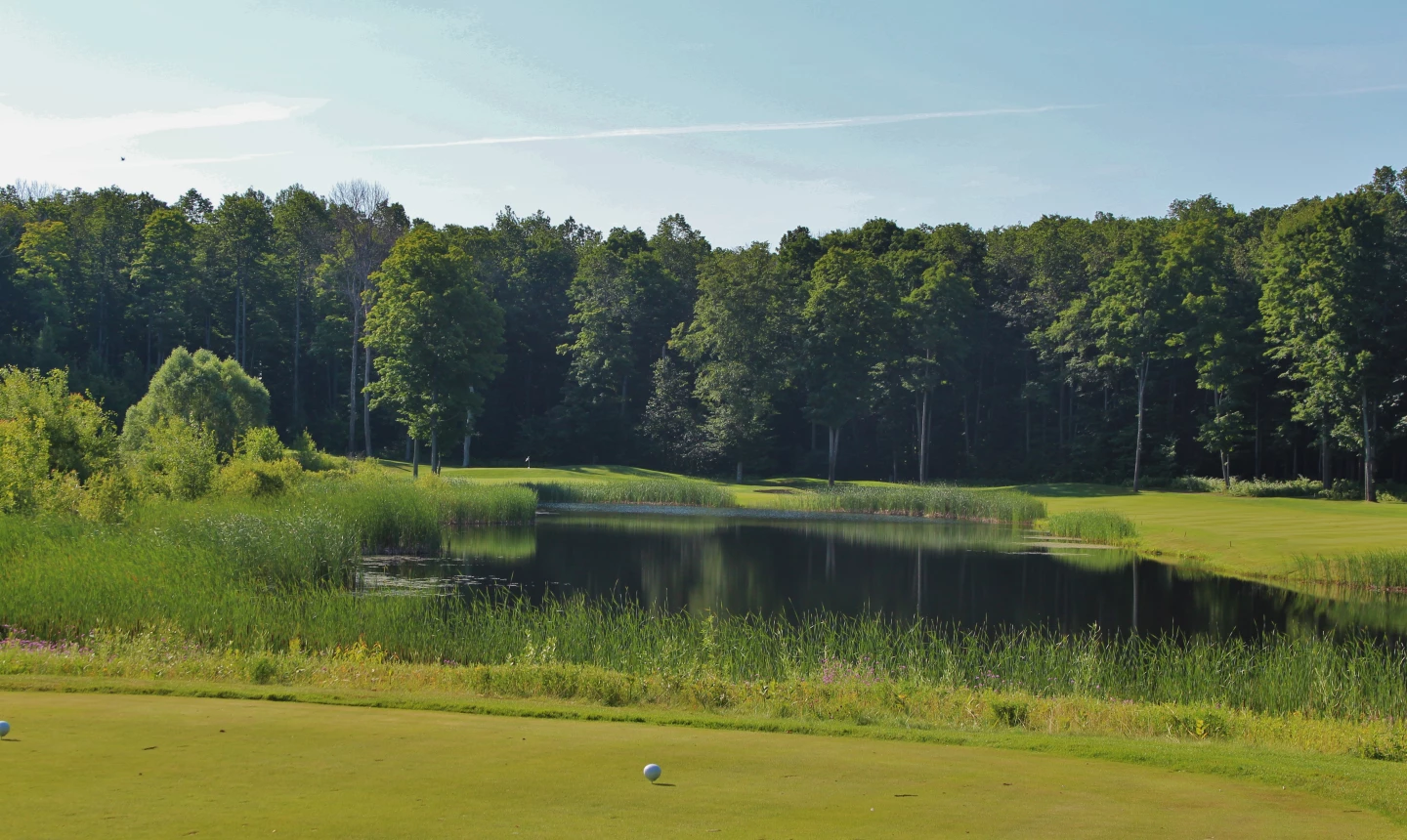 Shanty Creek Resorts - Cedar River golf course - 7th