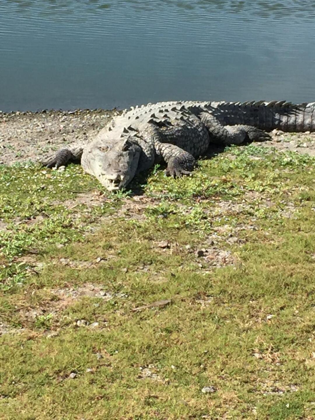 (Photo submitted by u934724435 on 03/31/2023)