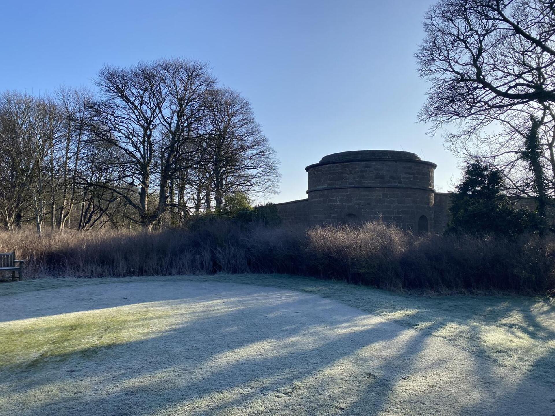 (Photo submitted by galex on 03/09/2026)