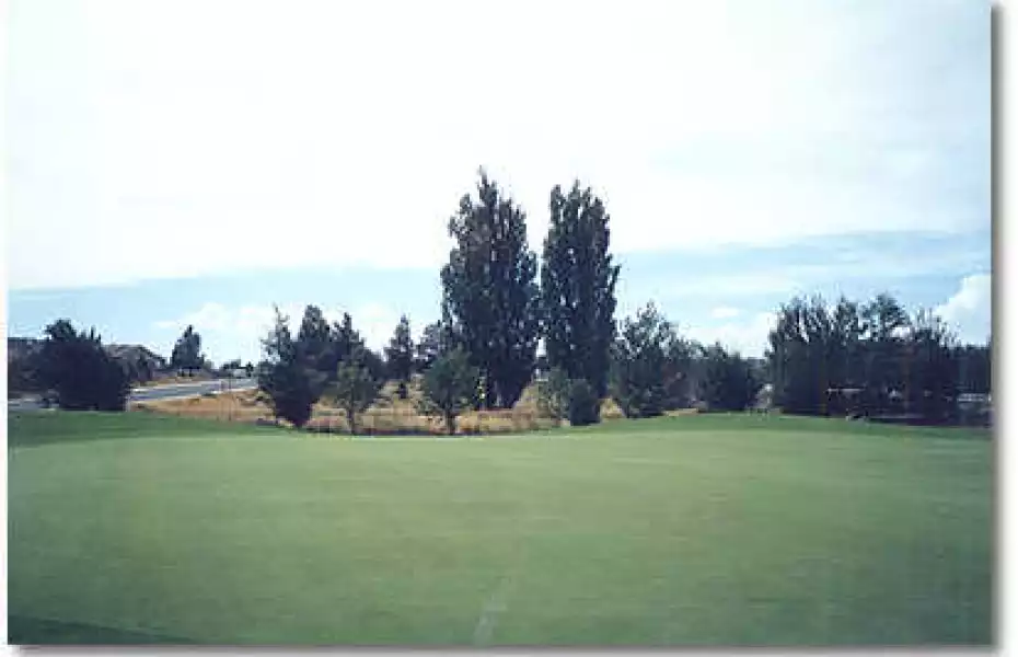 Greens at Redmond #1