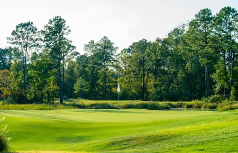 Whispering Pines GC - The Needler