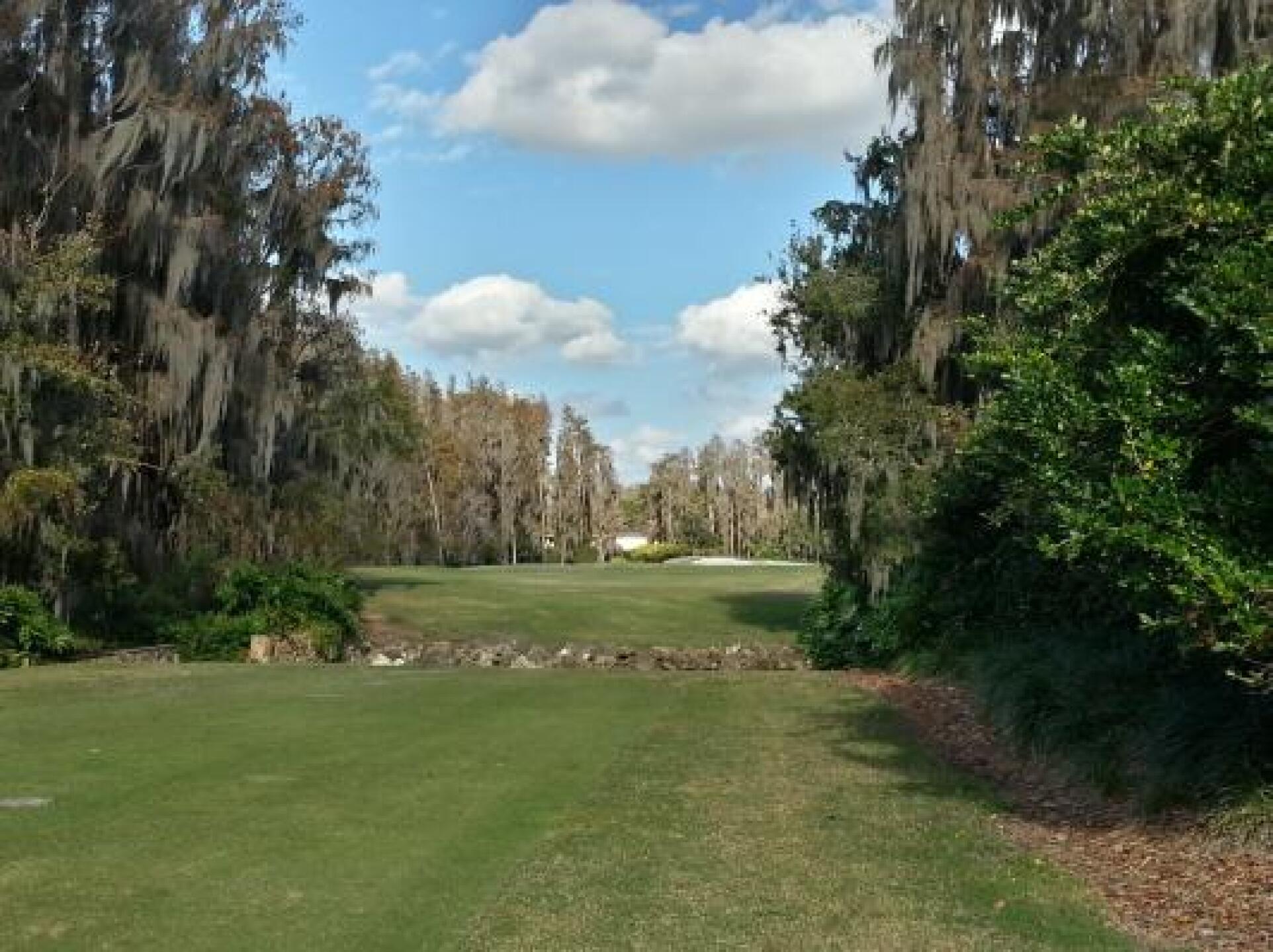 #18 Tee Box (Photo submitted by David5354608 on 12/24/2013)