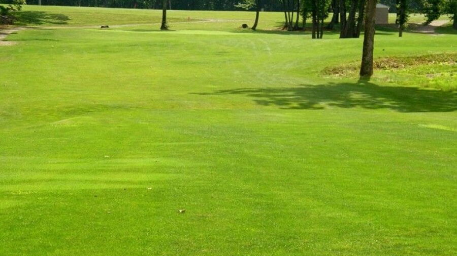 Longhi’s Golf: #9