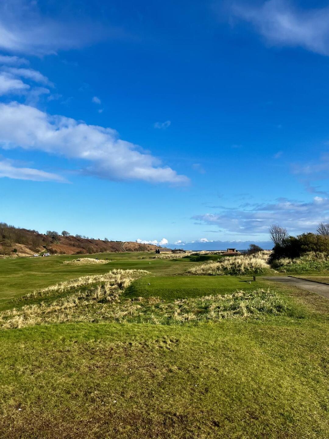 (Photo submitted by stevenjewitt on 02/25/2024)