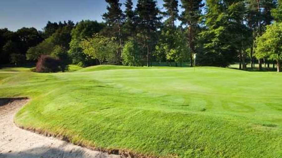 Pannal GC: #7
