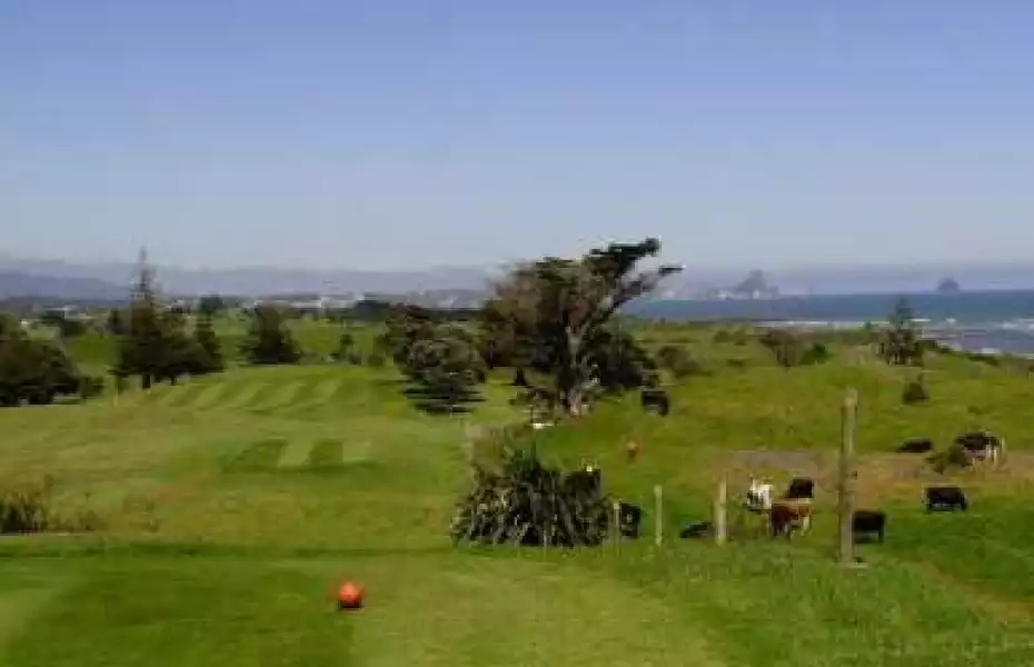 New Plymouth GC: #13