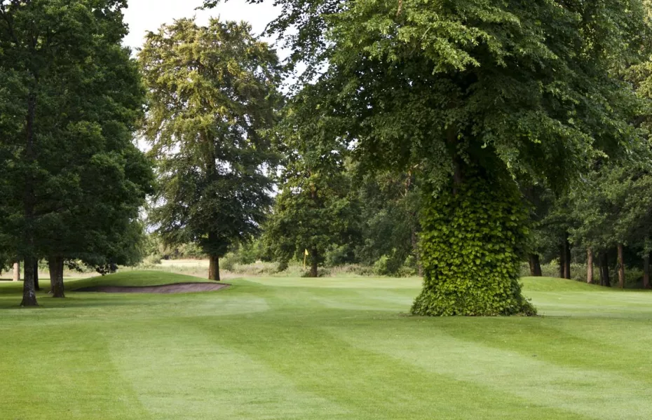 Portarlington GC: #7