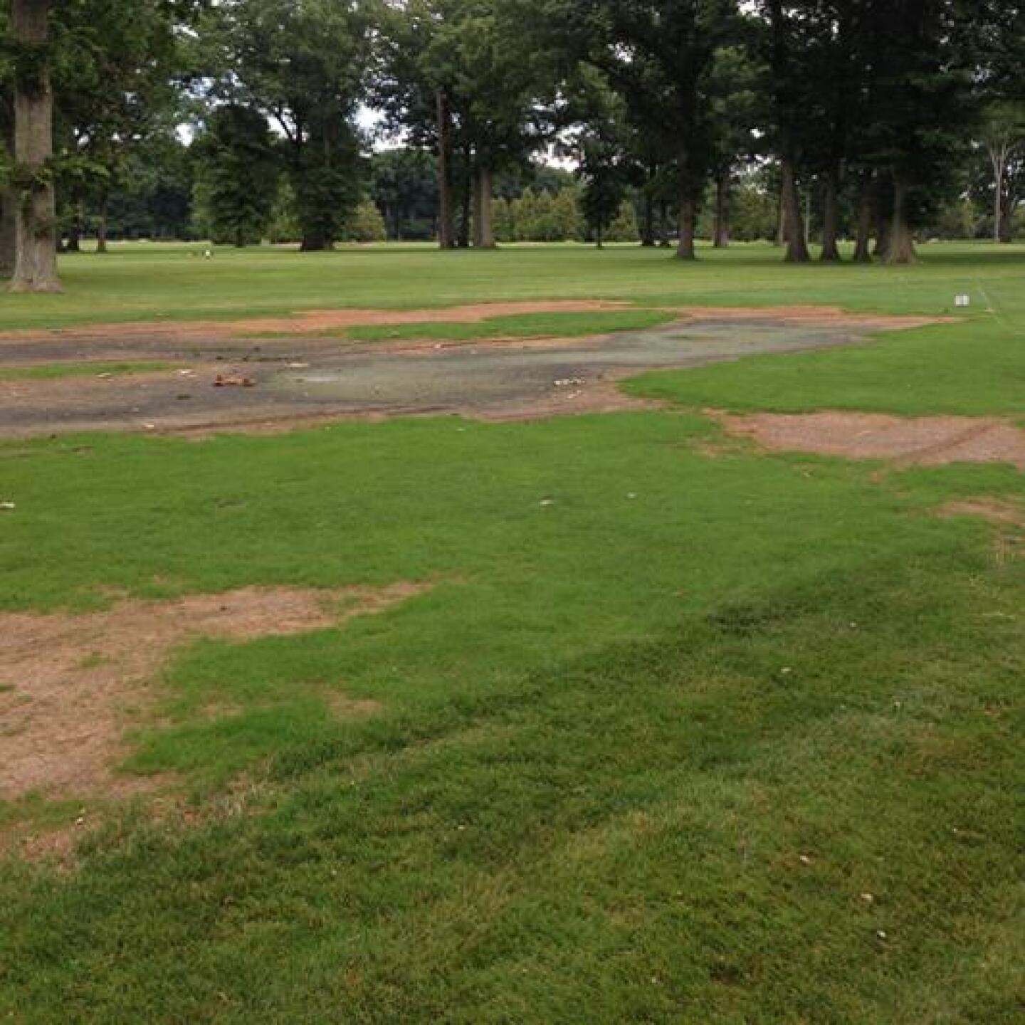 Fairway (Photo submitted by jstramel on 07/29/2013)