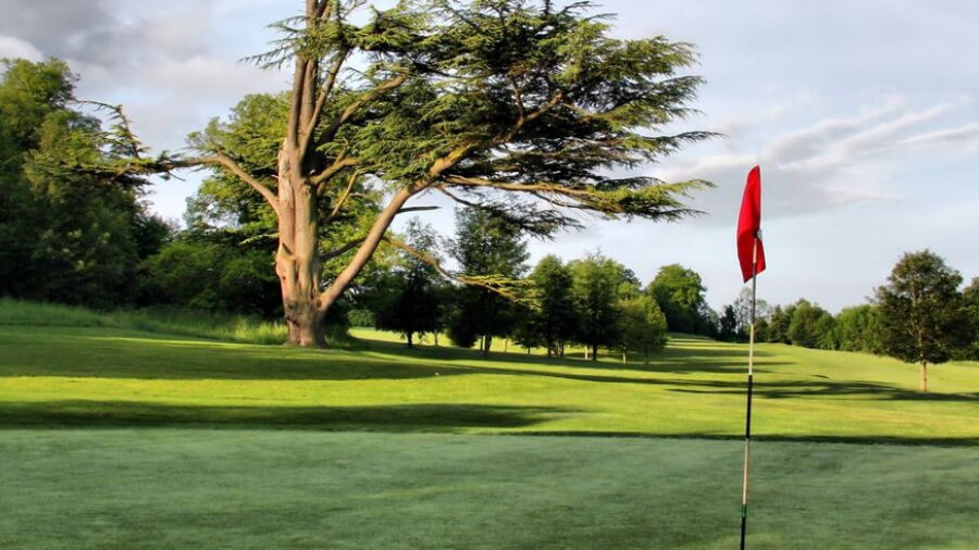 Darenth GC: #17
