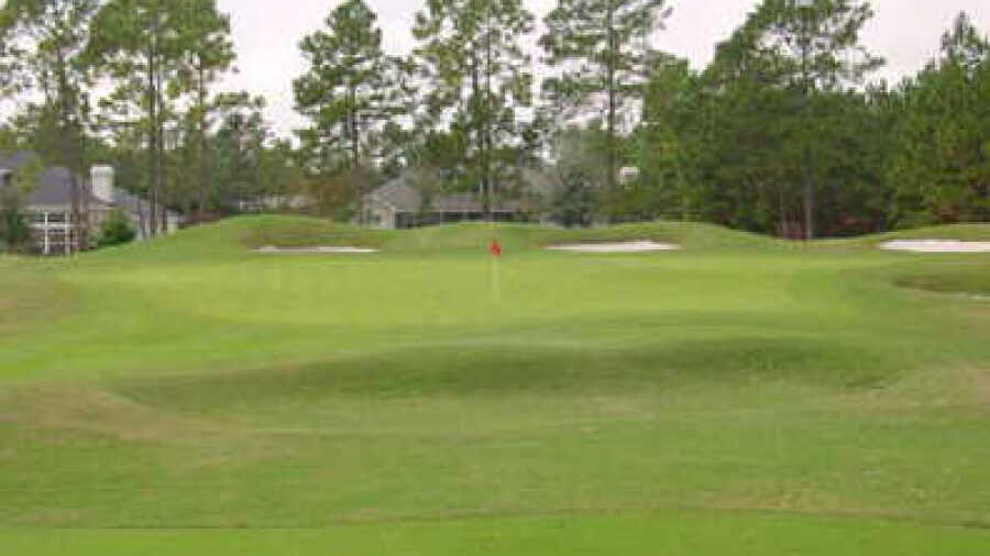 Jacksonville GCC: #14