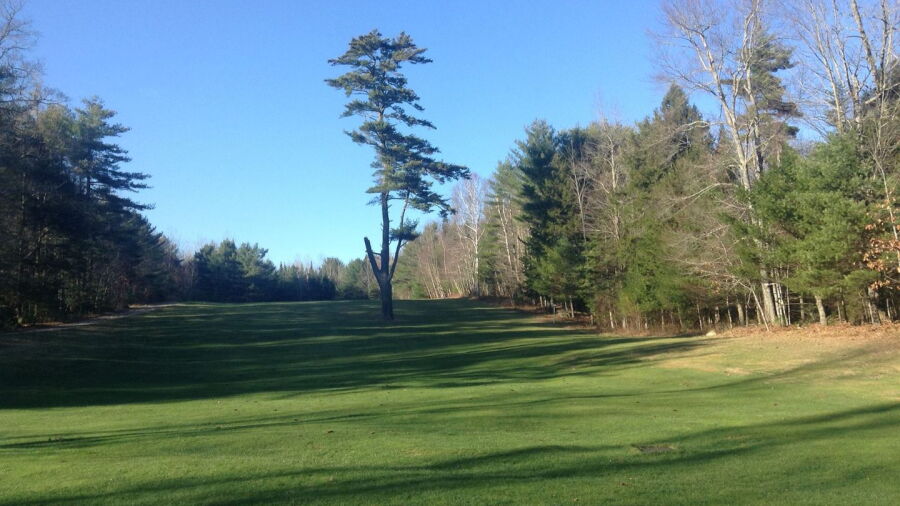 Sawmill Woods GC: #3