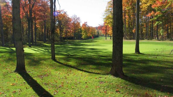The Ferns Golf Resort: #12