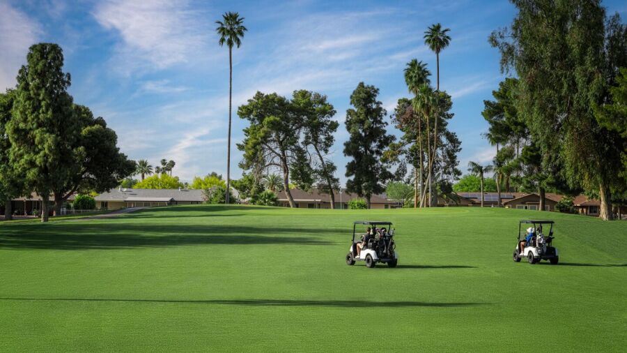 Palmbrook GC: #3