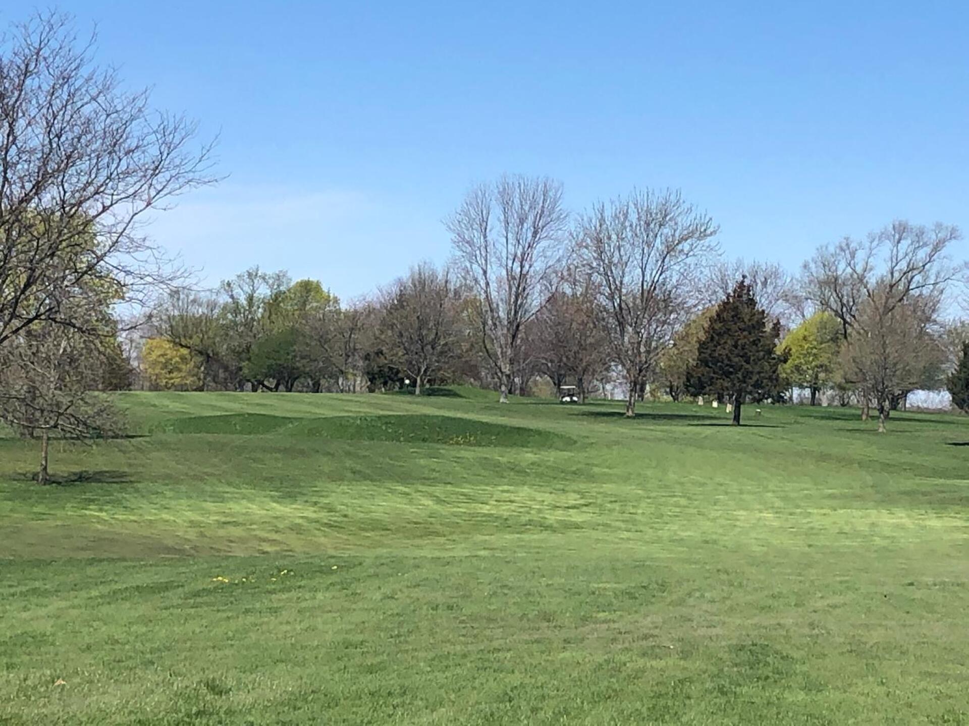 (Photo submitted by BryanTweed16 on 05/04/2020)