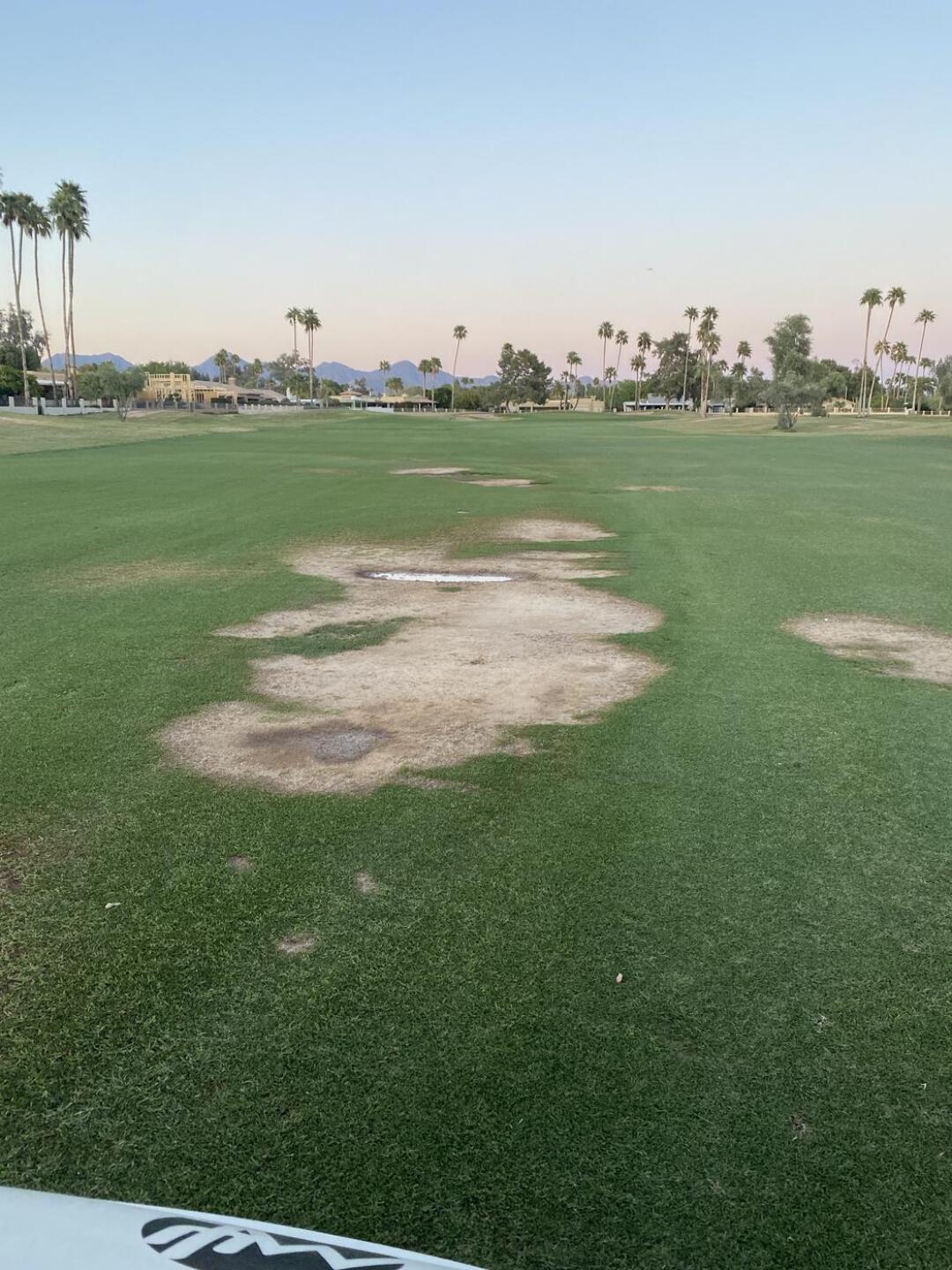 (Photo submitted by Brice1428038 on 04/05/2023)