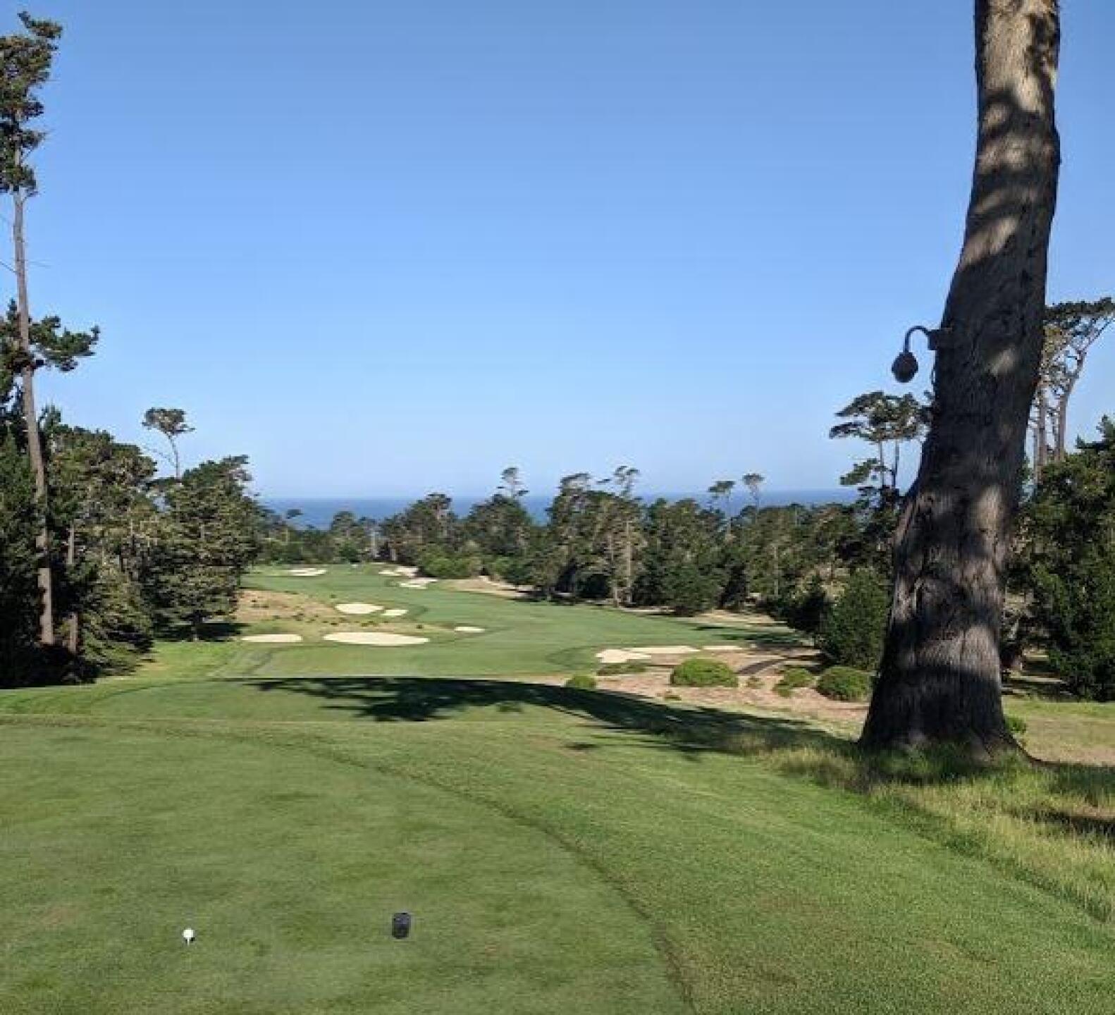 (Photo submitted by sorenj on 07/18/2019)