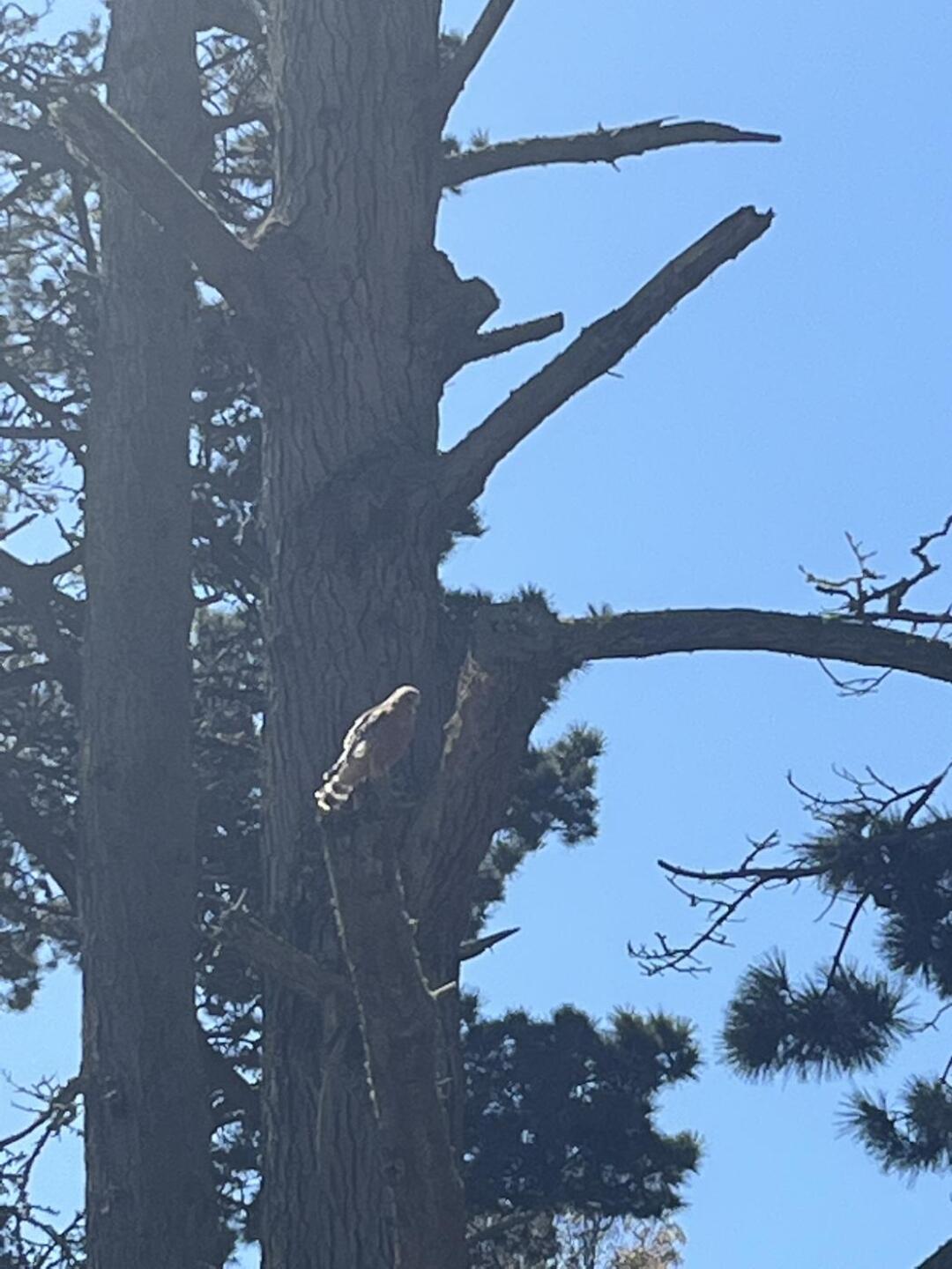 (Photo submitted by u314163338398 on 08/28/2022)