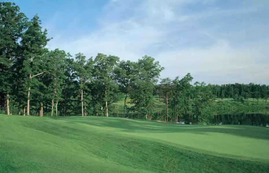 Virginia Oaks GC: #3