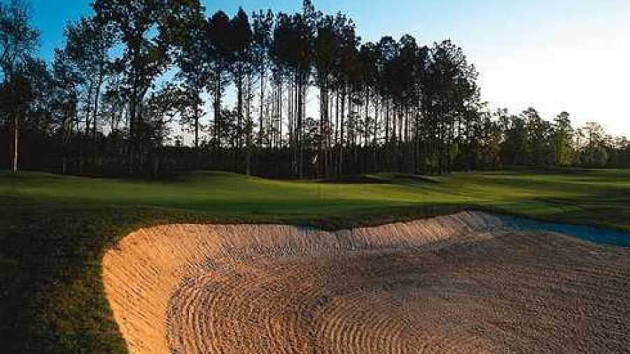 Eagle's Pointe GC: #17
