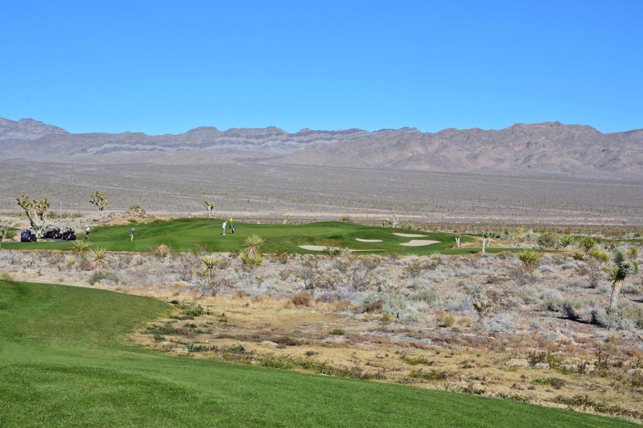 Your tee shot will cross the desert at the par-3 eighth. Running the ball onto the green is dangerous; the ball tends to bounce left/downhill, leaving a difficult pitch. (Photo submitted by AptlyLinked on 12/18/2025)