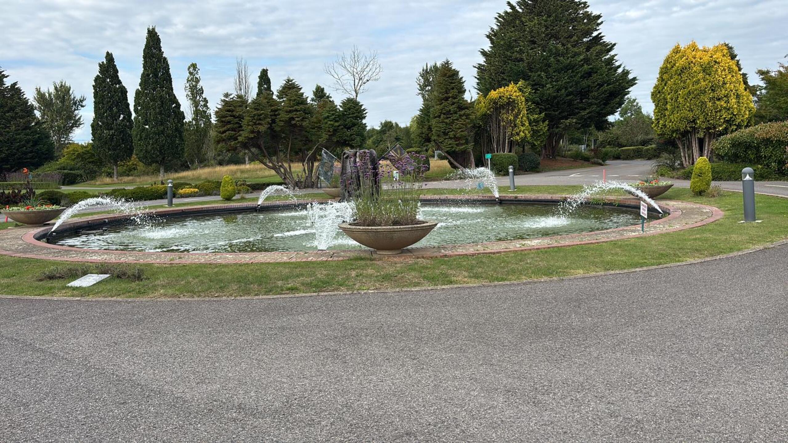 (Photo submitted by Vo7HdngZFHP7KzmJtiHs on 08/03/2025)