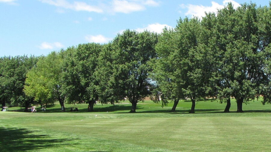 Brookside GC