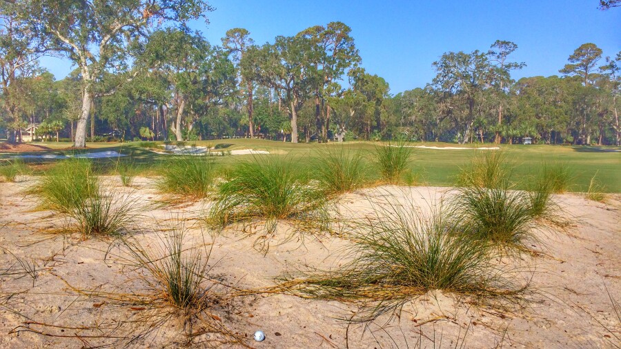 Sea Pines Resort - Atlantic Dunes GC