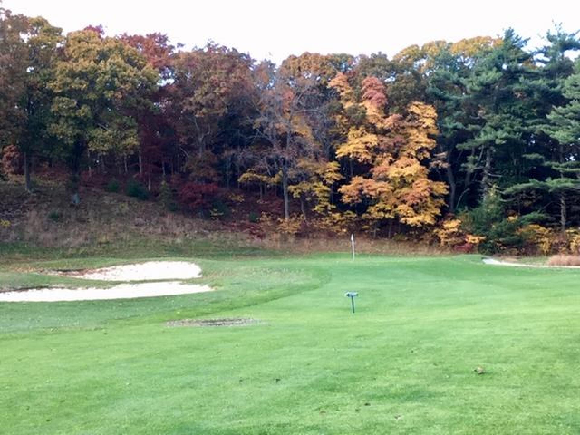 (Photo submitted by LICC on 11/03/2018)