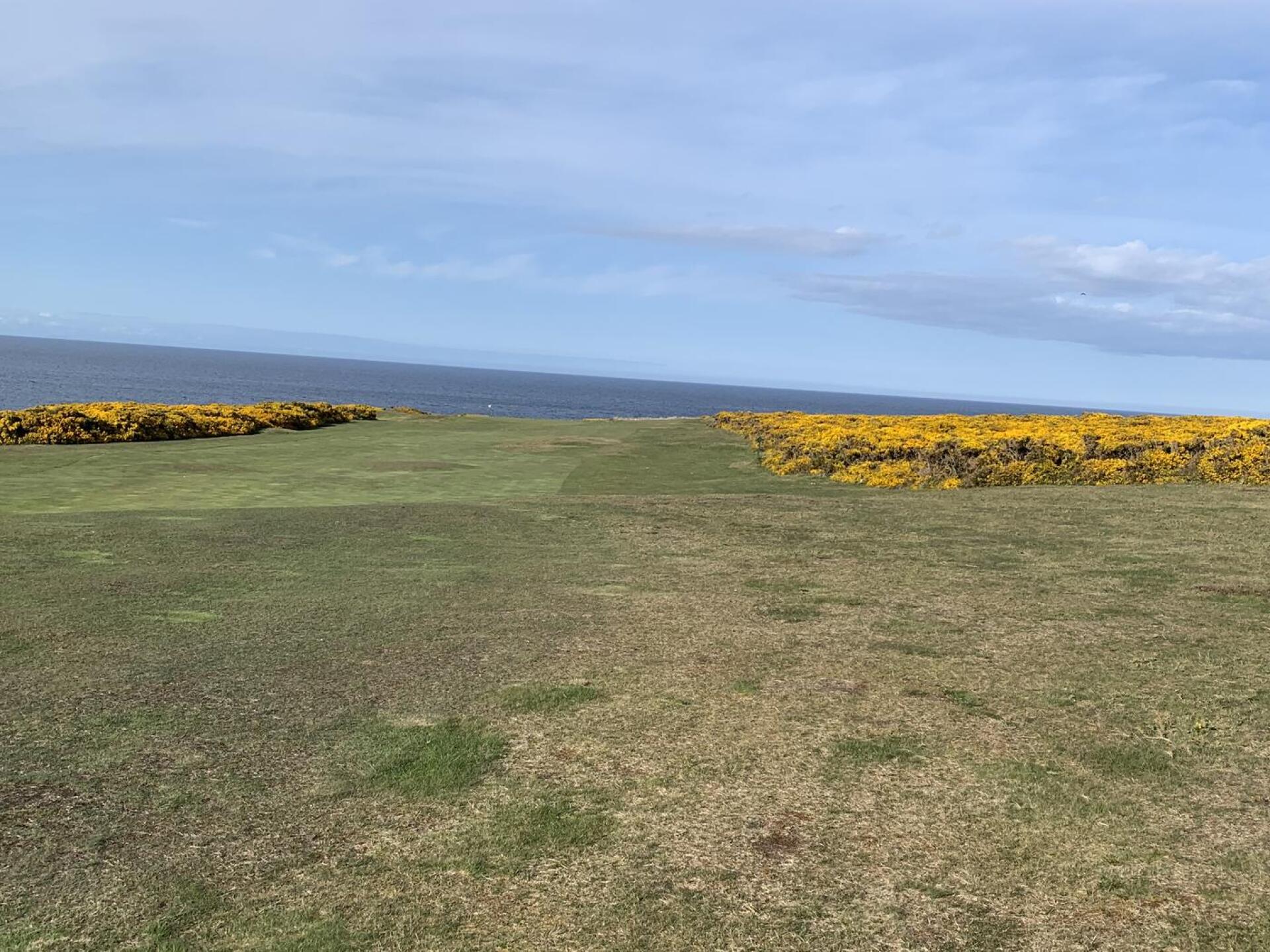 (Photo submitted by GolfNowColin13 on 04/25/2025)