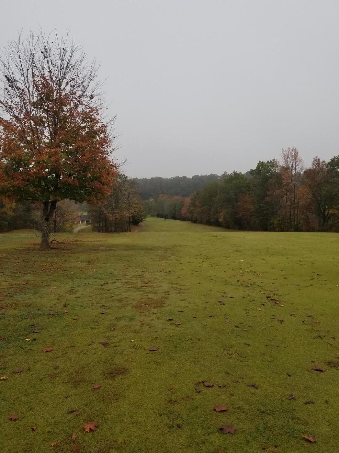 (Photo submitted by ShortKnocker1 on 10/25/2020)