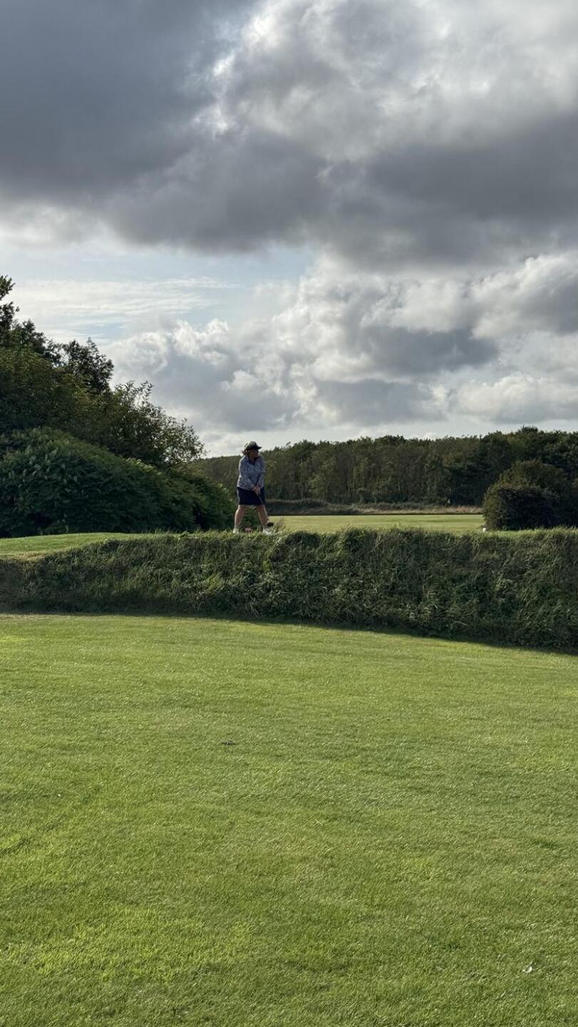 (Photo submitted by Puuma123 on 08/11/2025)