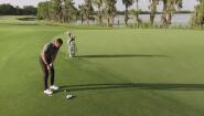 Around The Green – Best Options