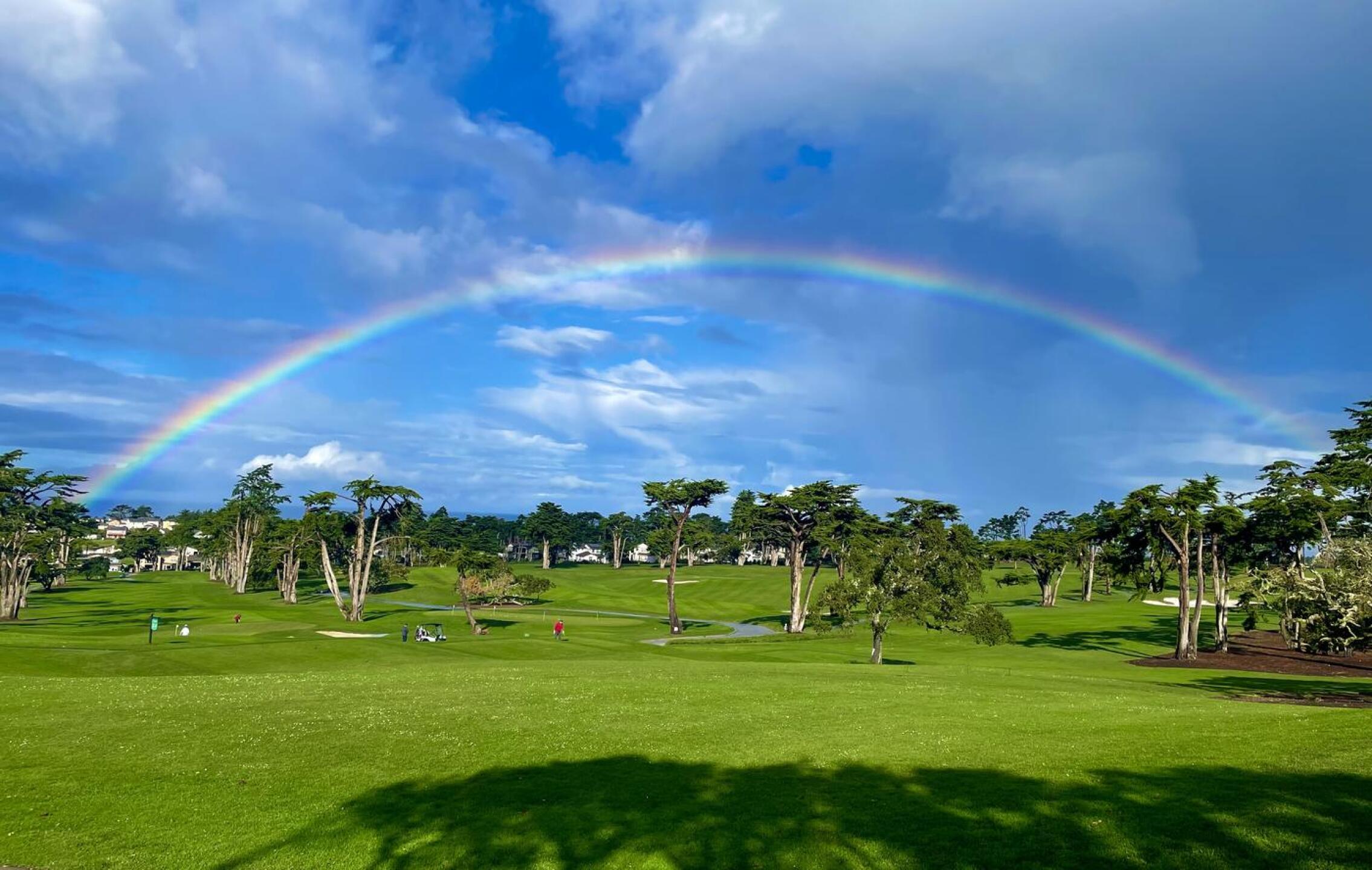 This image says it all (Photo submitted by ronnyd1981 on 01/01/2026)