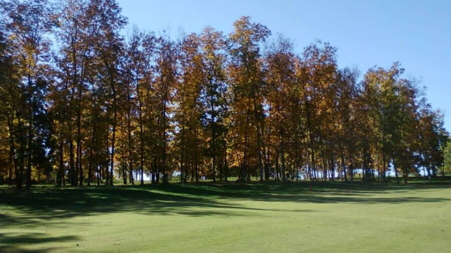Arthur Hills GC: #5