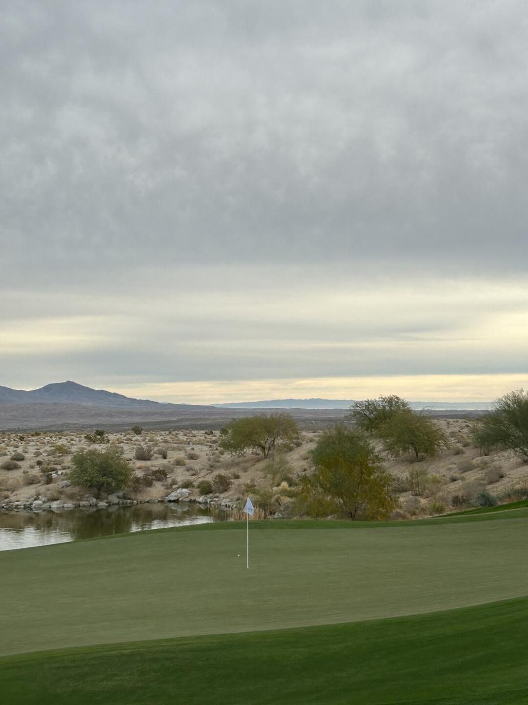 (Photo submitted by mdwright85 on 01/13/2024)