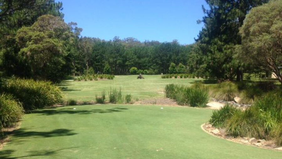 Kew CC: #15