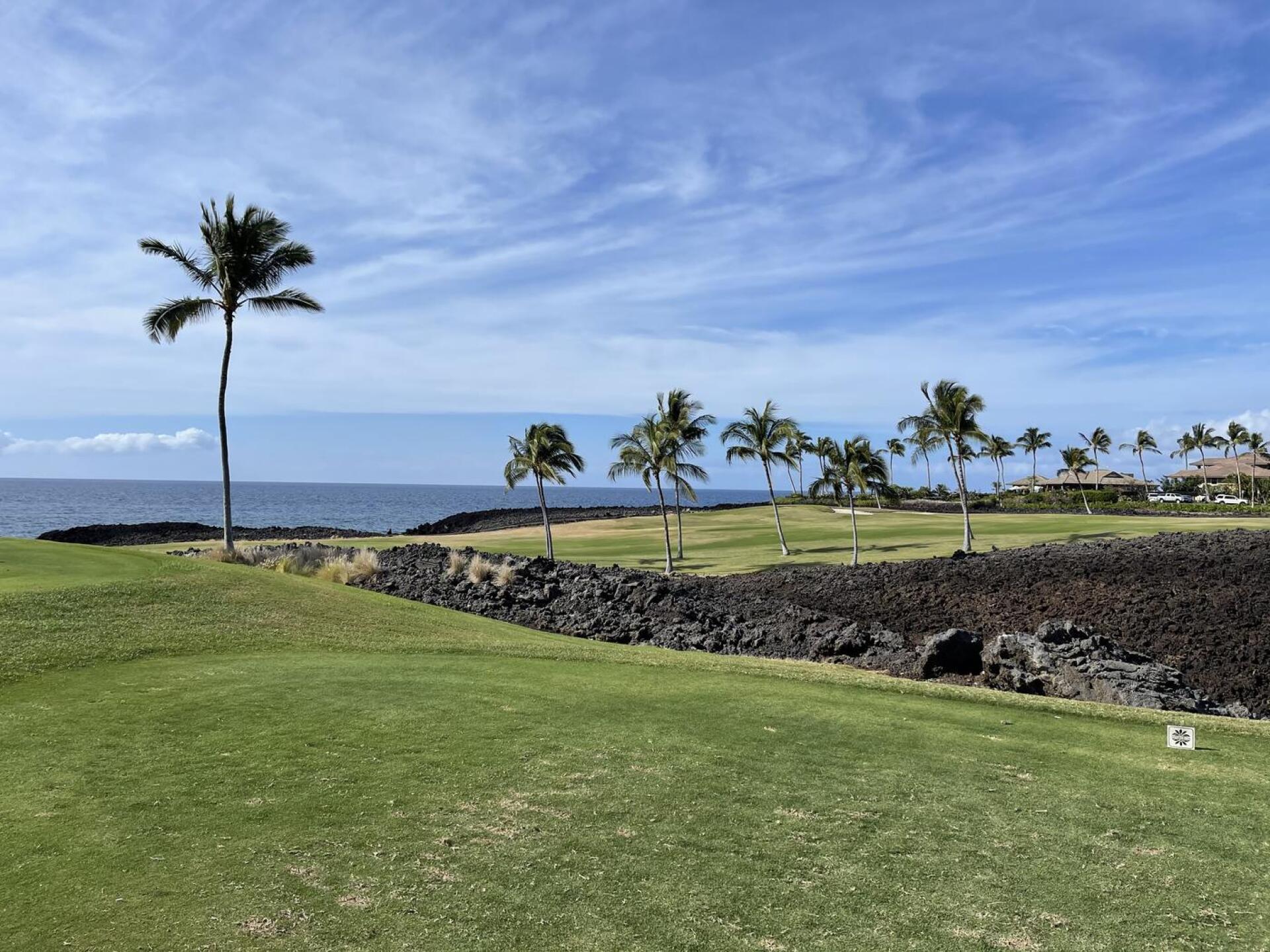 (Photo submitted by robgonzo on 02/22/2021)