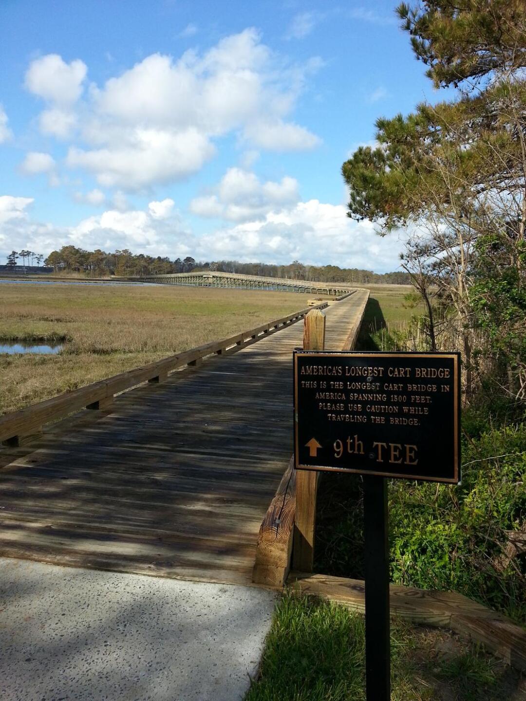 from this (Photo submitted by u000004989554 on 04/11/2016)