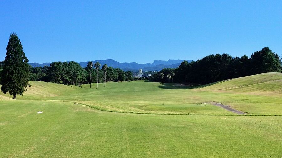 Cherry Amakusa GC: #8