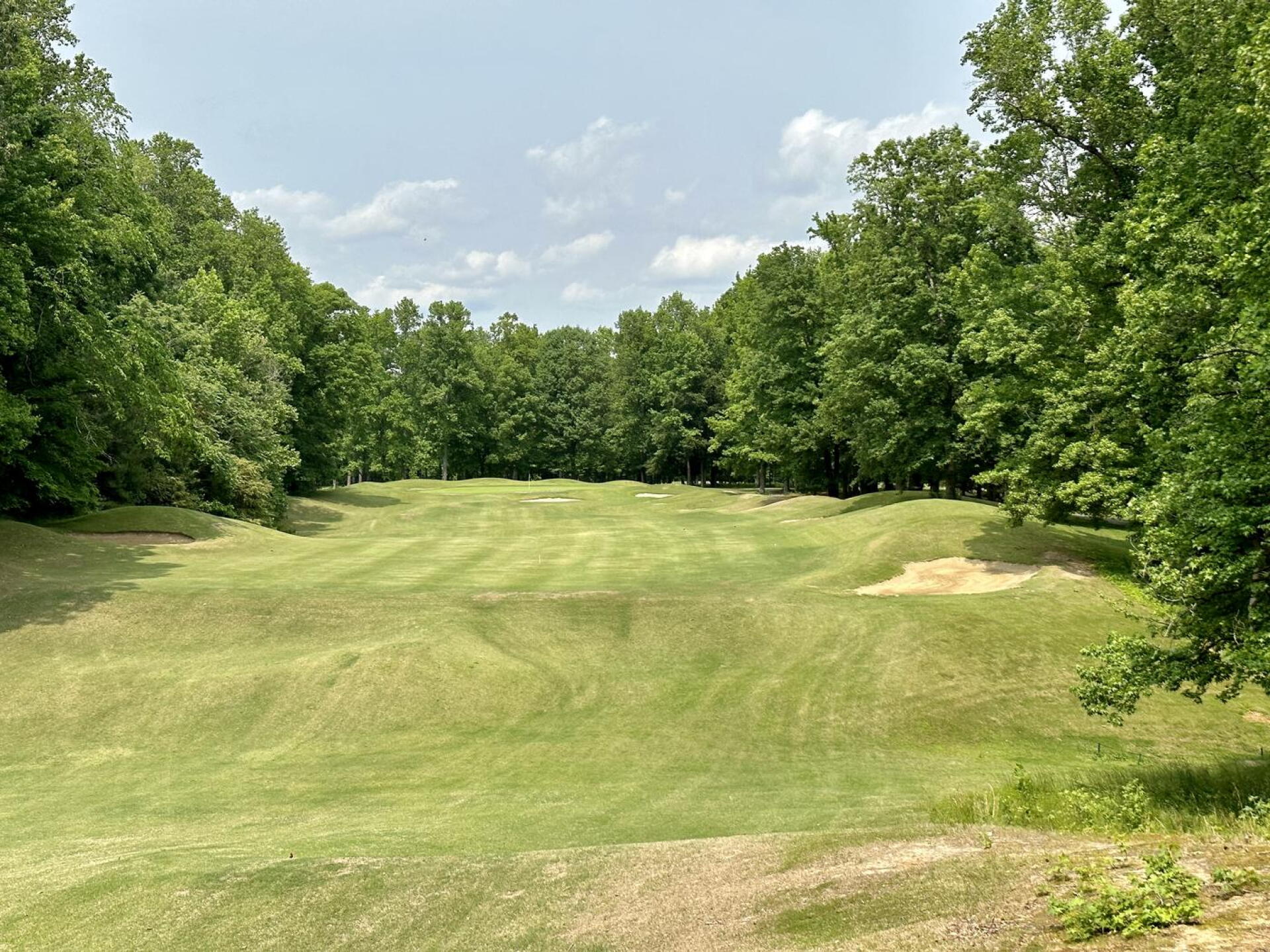 Golden Horseshoe Golf Club (Green), hole 2 (Photo submitted by TimGavrichGP on 08/24/2023)