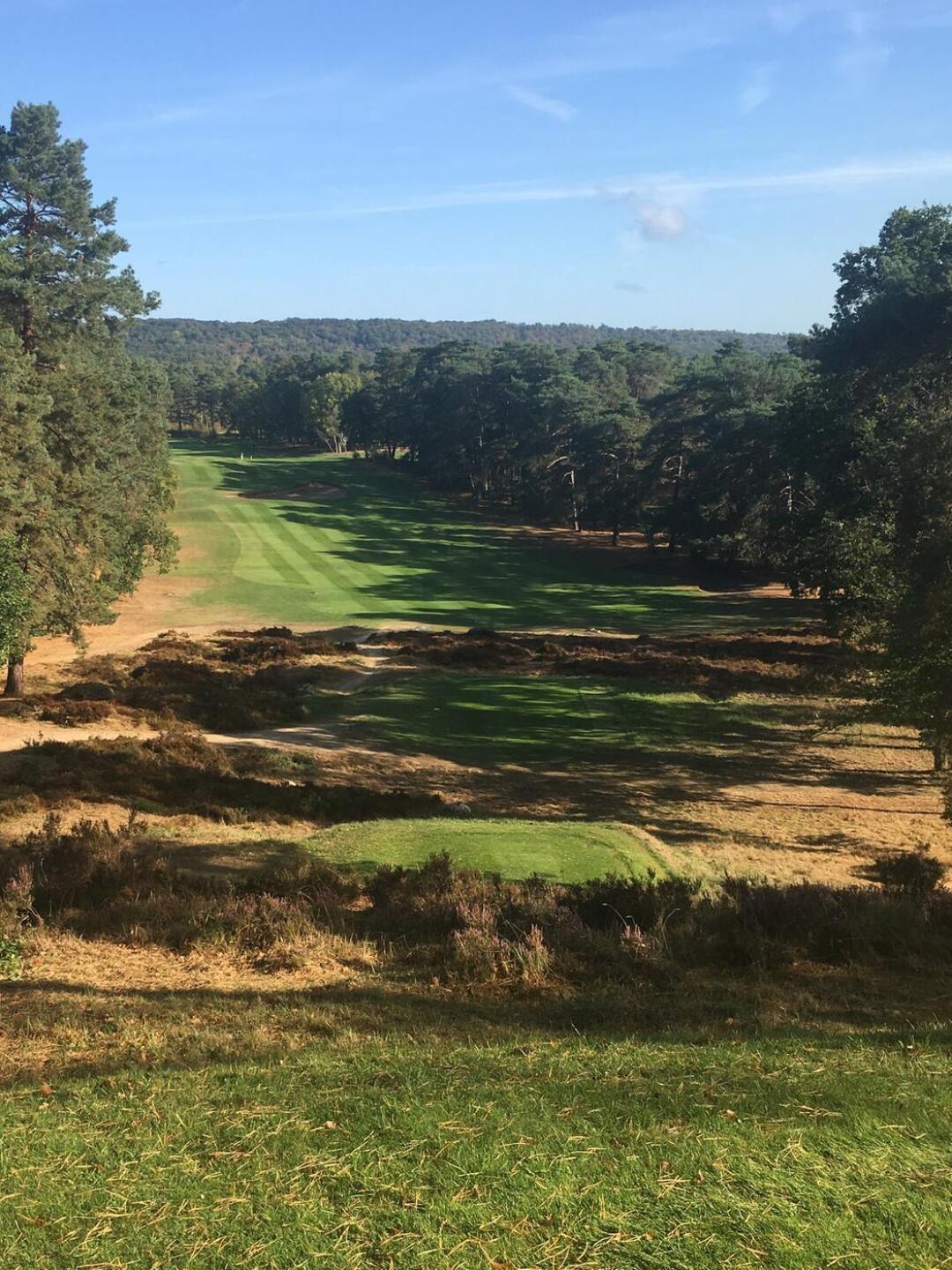 (Photo submitted by WoodyOz on 09/25/2018)