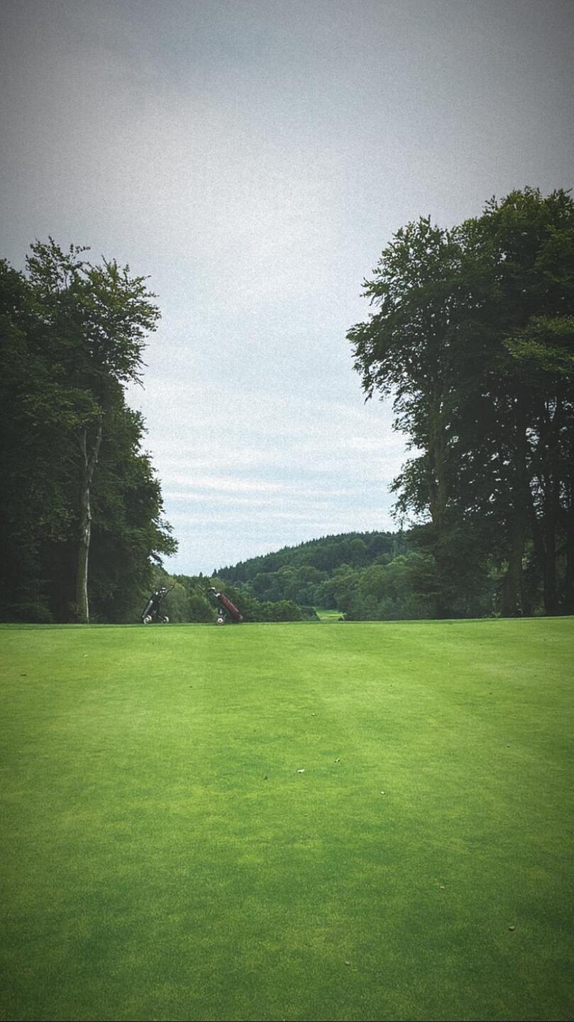 (Photo submitted by null on 09/02/2020)