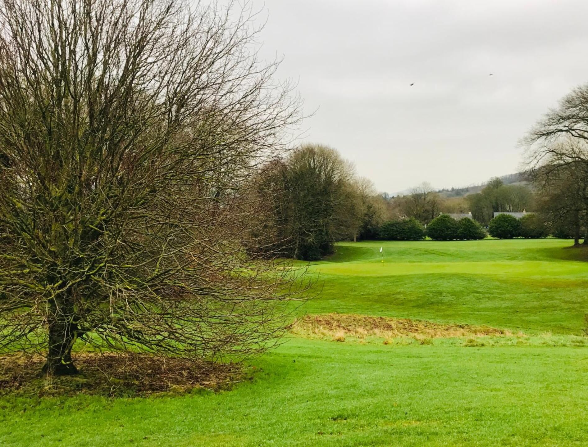 (Photo submitted by citation2b on 12/31/2019)