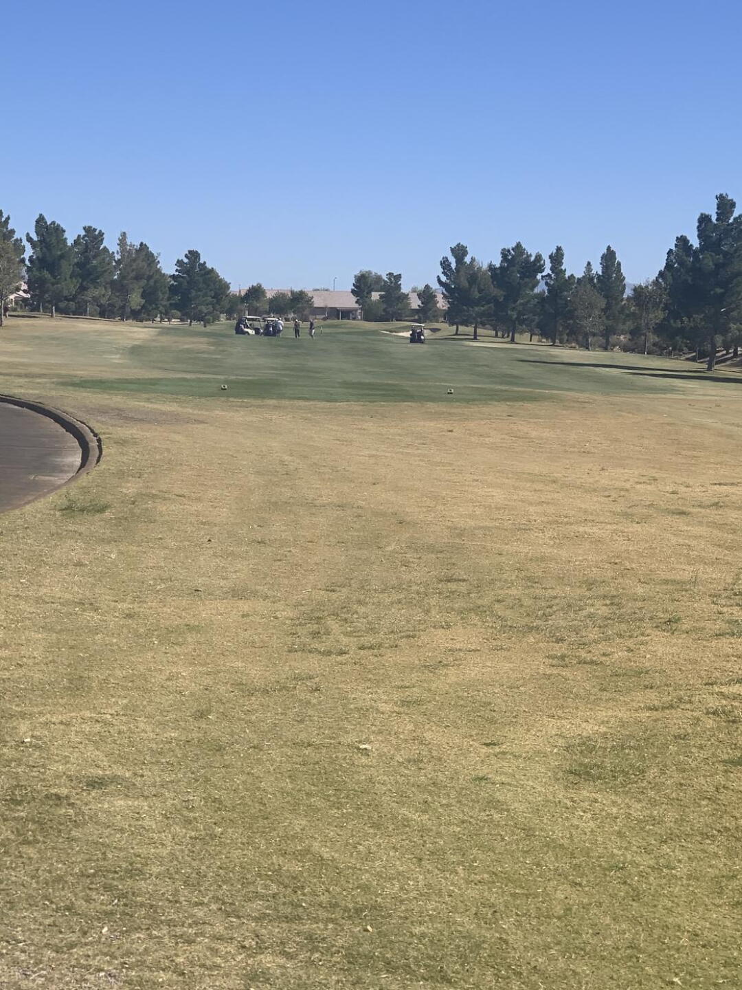 Waiting on tee box. (Photo submitted by u314160954801 on 10/31/2020)