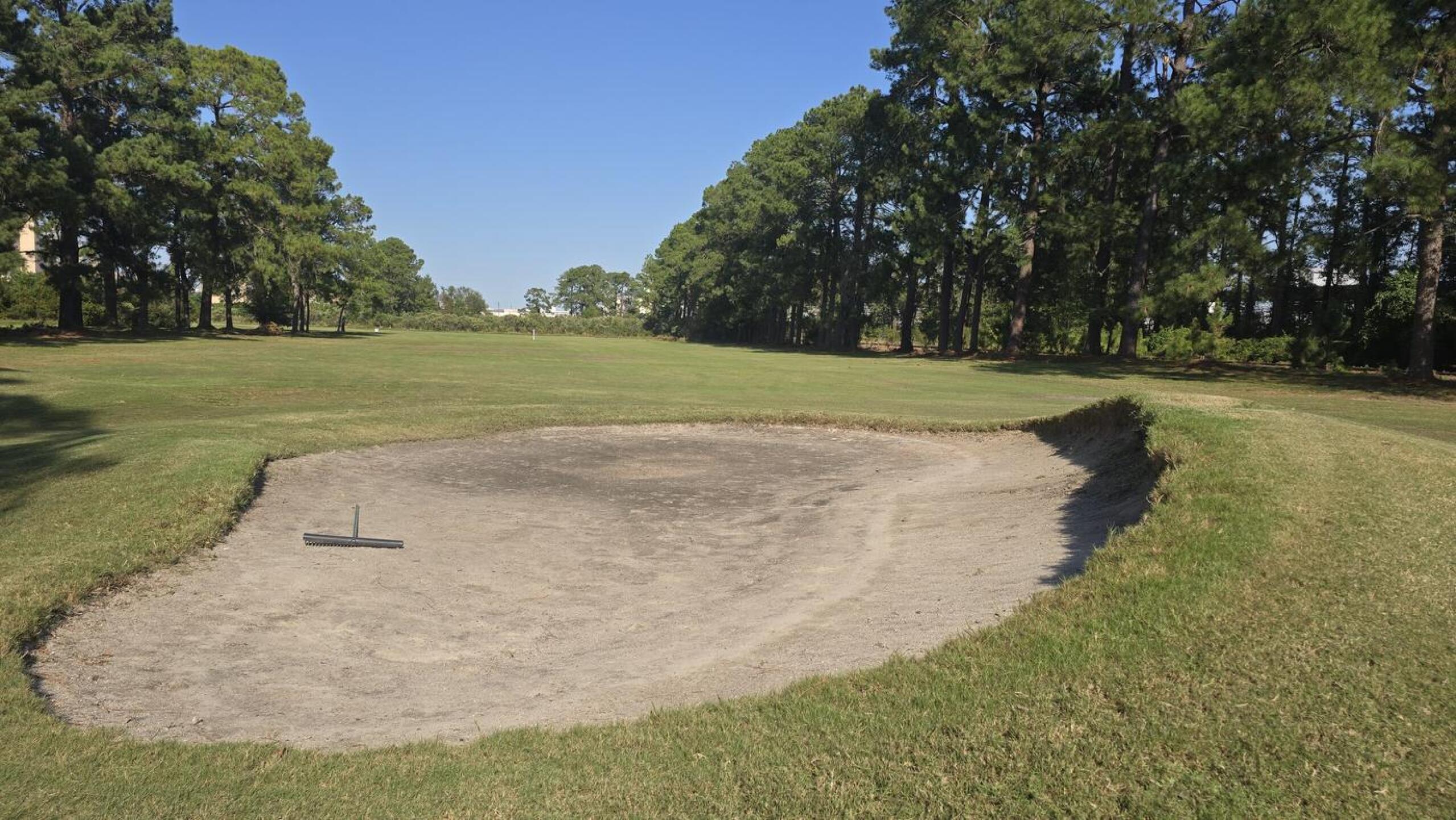 (Photo submitted by pswanno on 10/16/2024)