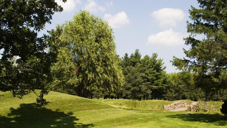 Summerlea GCC