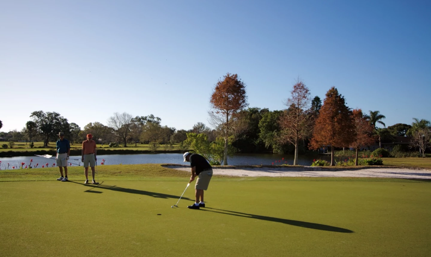 Seminole Lake Country Club - greens