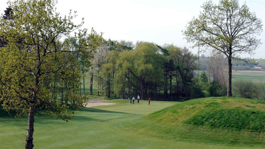 Vaerebro GC: #6