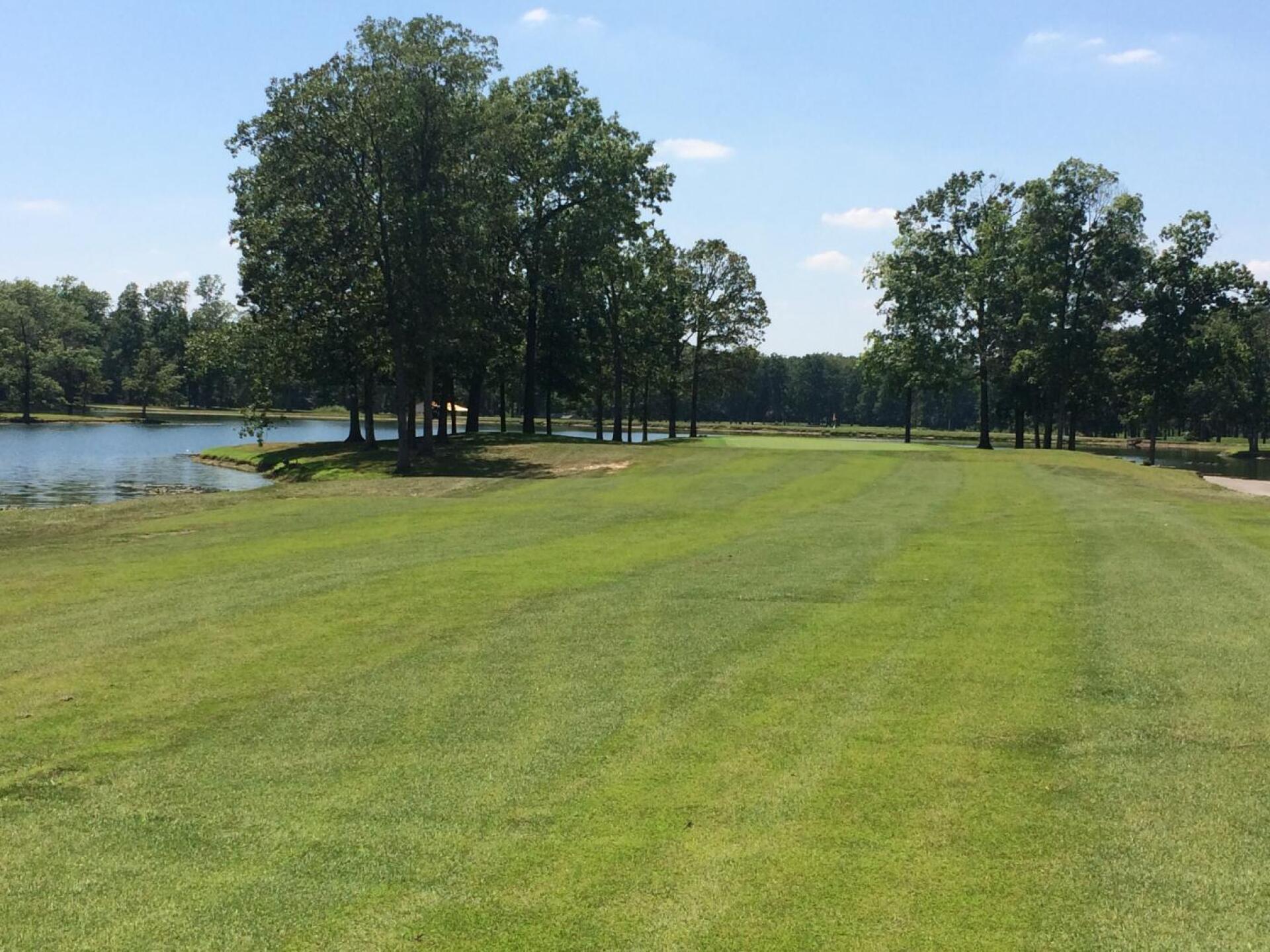 (Photo submitted by chrisbb on 11/12/2019)