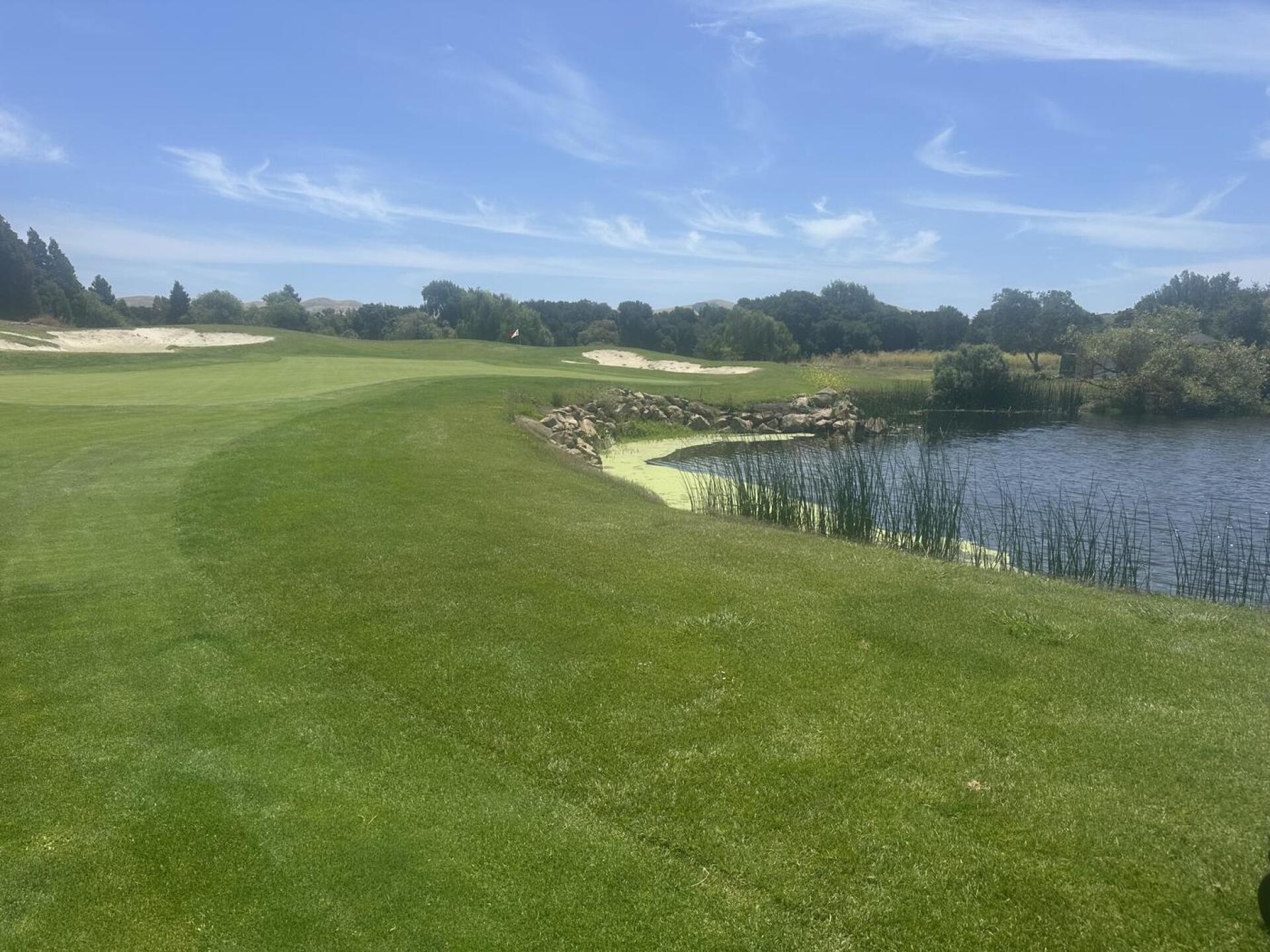 Almost caught a birdie (Photo submitted by Yusuf1728842 on 07/06/2026)